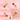 Intention 8mm Horoscope - Virgo Bracelet